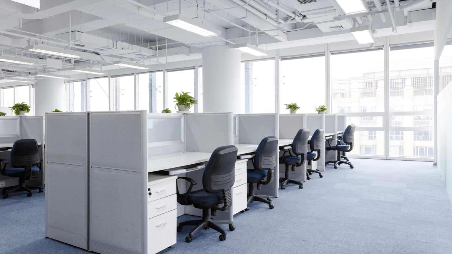 Office Cleanout Services